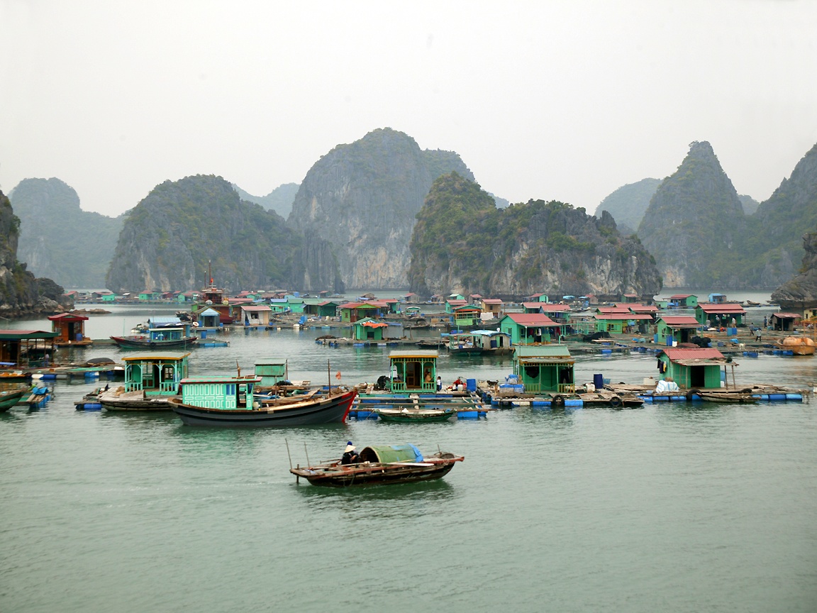CAT BA ECOLODGE